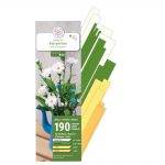 Quilling-Kit - Margeriten