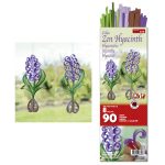 Lilac Zen Hycinth Kit