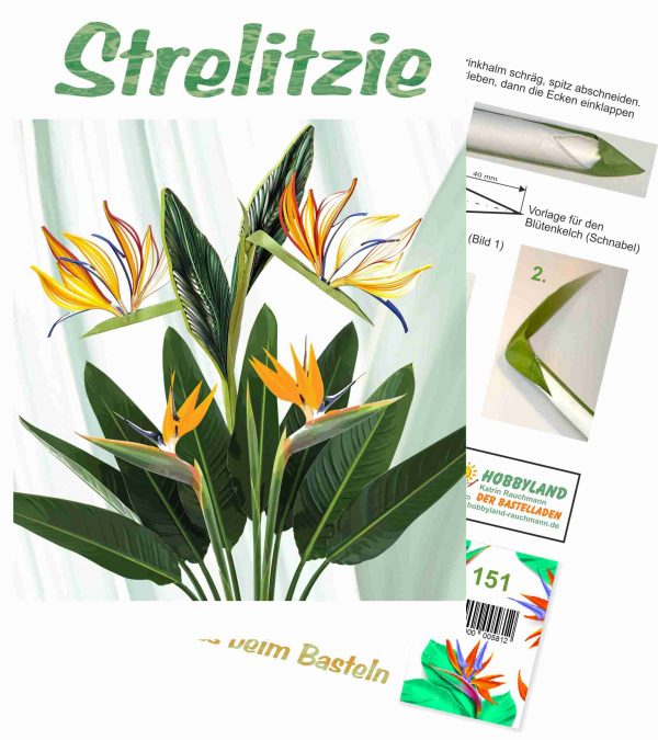 Quilling Anleitung - Strelitzie