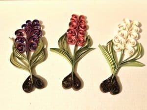 Hyazinthen Musterbild