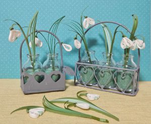 Schneeglöckchen1 Musterbild