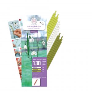 Zen Snowdrops Kit with Tool