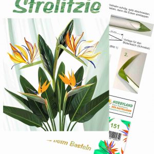 Quilling Anleitung - Strelitzie