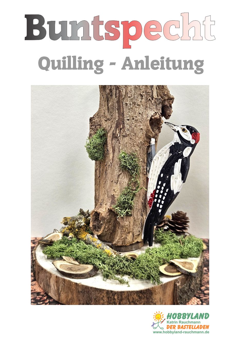 Quilling Anleitung – Buntspecht