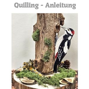 Quilling Anleitung - Buntspecht